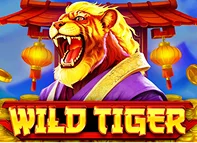 Wild Tiger
